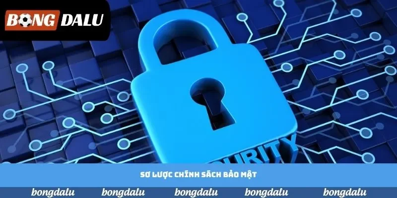 Sơ lược chính sách bảo mật