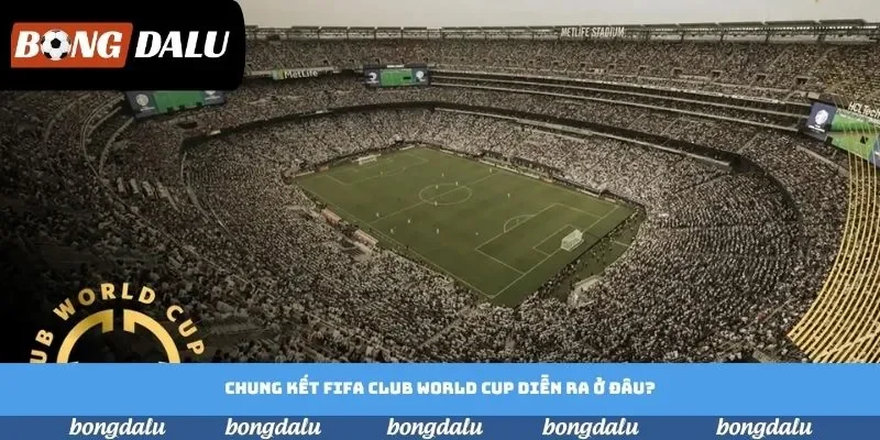 Chung kết FIFA Club World Cup diễn ra ở đâu? Tìm kiếm câu trả lời