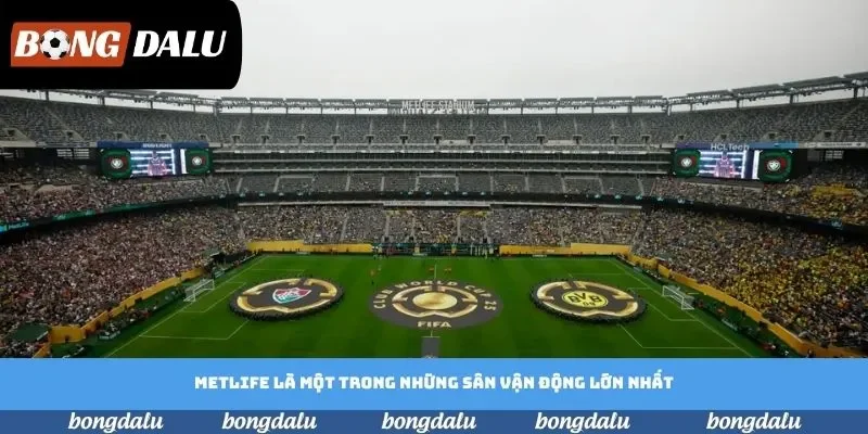 MetLife là một trong những sân vận động lớn nhất nước Mỹ