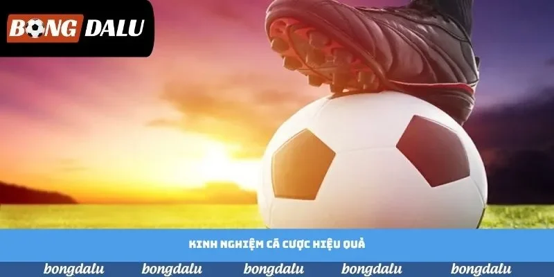 Kinh nghiệm được tuyển chọn giúp người chơi dễ dàng clear kèo
