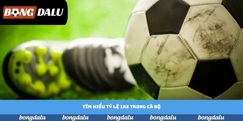 Tìm hiểu tỷ lệ 1x2 trong cá độ