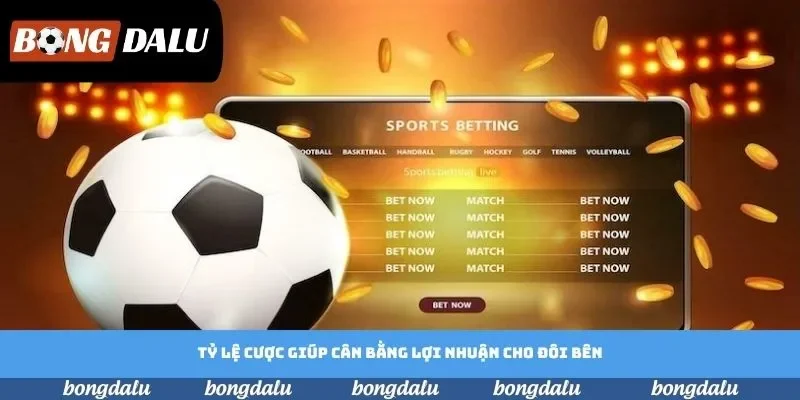 Tỷ lệ cược giúp cân bằng lợi nhuận cho đôi bên