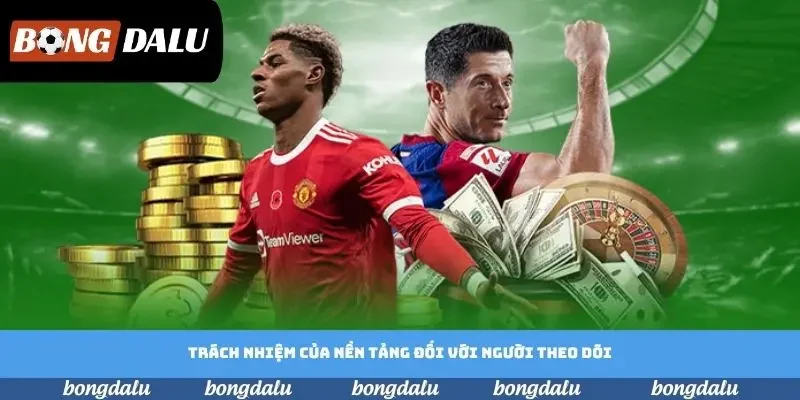 Trách nhiệm của nền tảng đối với người theo dõi