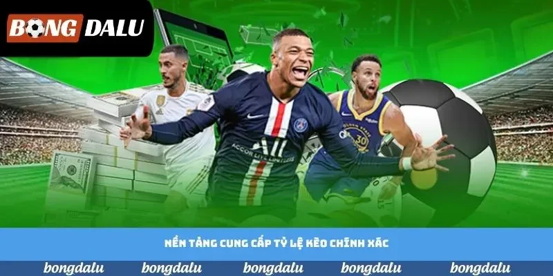 Nền tảng cung cấp tỷ lệ kèo chính xác
