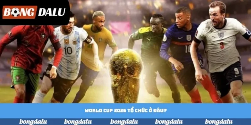World Cup 2026 Tổ Chức Ở Đâu? Những Điều Bạn Cần Biết